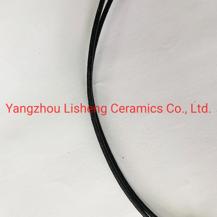 Ceramic Ignition Electrode for Gas