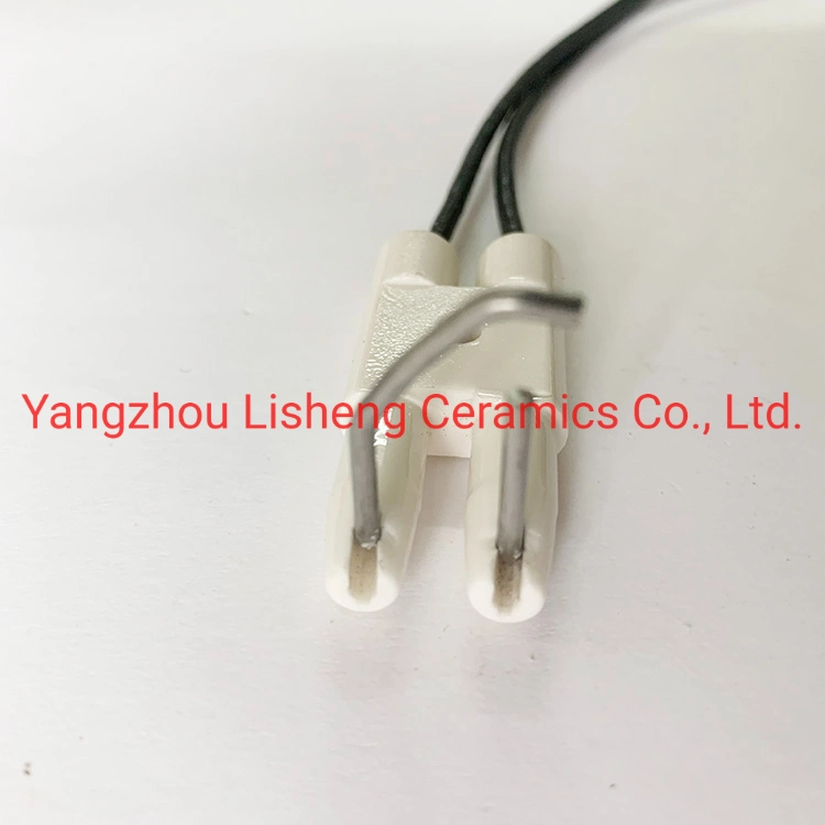 Ceramic Ignition Electrode for Gas