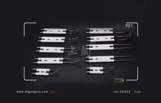 Ceramic Ignition Electrode Extensions